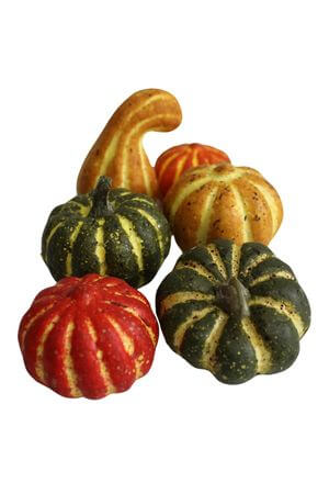 Színes dekor tök 6db