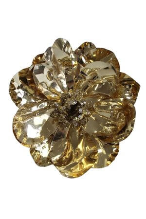 Zlatá magnólia na štipci 12cm