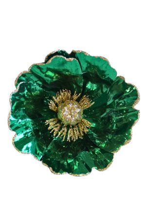 Smaragdovo zelená leská magnólia na štipci 14cm