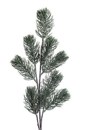 Zelená zasněžená jehličnatá větvička 70cm