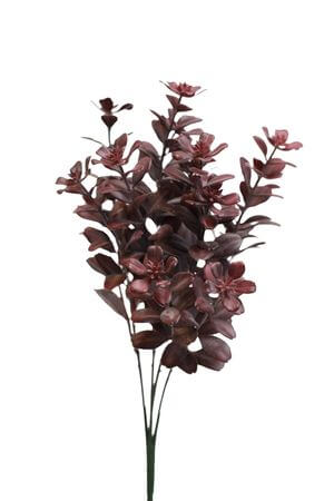 Bordové bylinky zápich 33cm