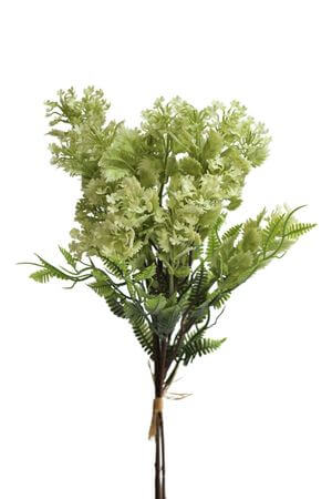 Bledozelený zväzok achileí 40cm