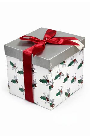 Stříbrná vánoční dárková krabička 12cm