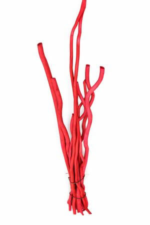 Červené dekorační větve 9ks