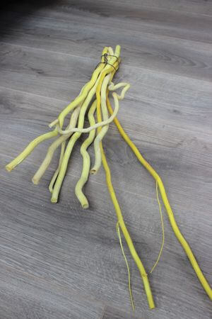 Žlté dekoračné konáre 9ks