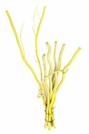 Žluté dekorační větve 9ks