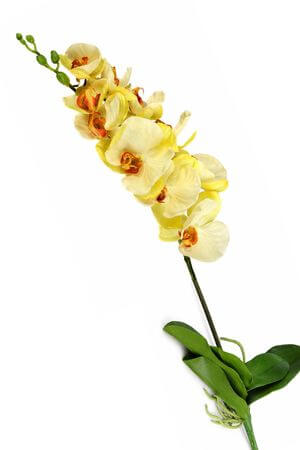 Žlutá umělá orchidej 70cm II.třída