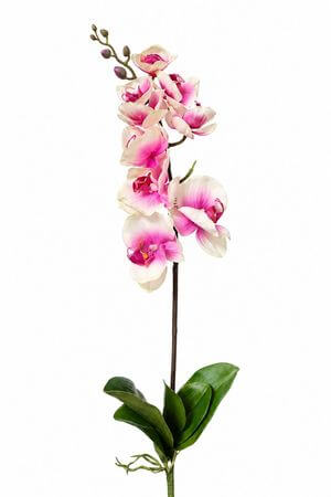 Růžová umělá orchidej s listy a kořínkem 70cm