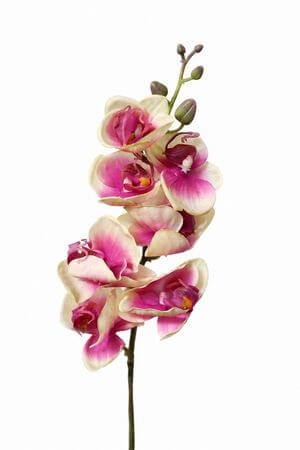 Růžová umělá orchidej 60cm