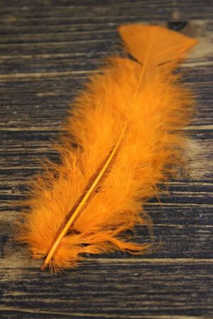 Narancssárga dekor tollak 60db