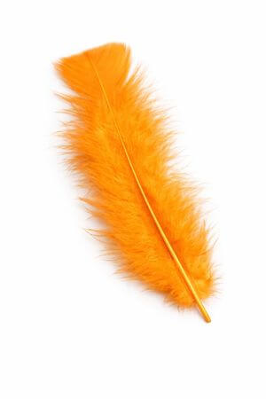 Narancssárga dekor tollak 60db