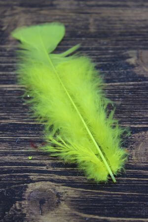 Žlté dekoračné pierka 60ks