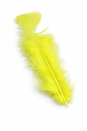 Žlté dekoračné pierka 60ks