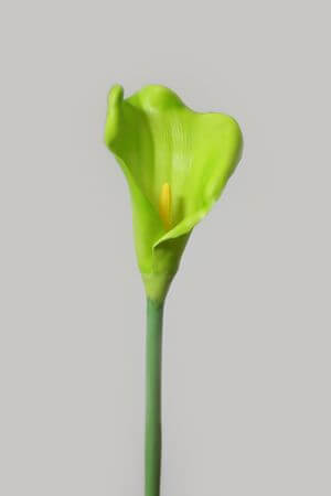 Zöld mű kála szárral 65cm