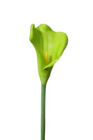 Zelená umělá kalia na stonku 65cm