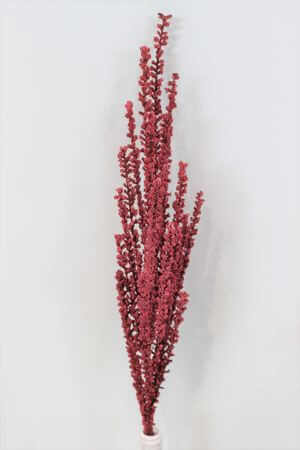 Bordová pěnová tráva s bobulkami 80cm