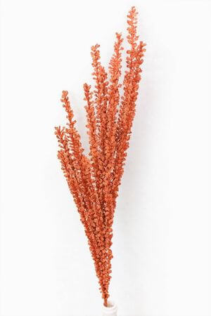 Oranžová pěnová tráva s bobulkami 80cm