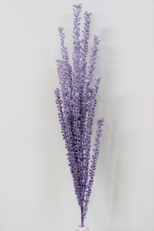 Fialová penová tráva s bobuľkami 80cm