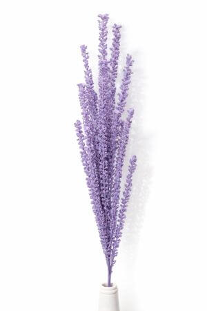 Lila habfű, bogyókkal 80cm