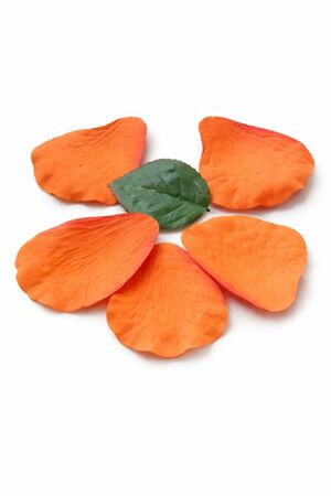 Oranžové lupene ruže 5ks a 2 zelené listy