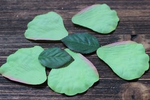 Zelené lupene ruže 5ks a 2 zelené listy