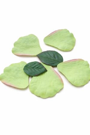 5db zöld rózsaszirom és 2db zöld levél