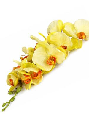 Žlutá umělá orchidej na stonku 80cm II.třída