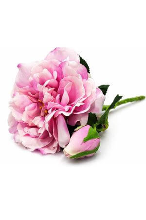 Růžová umělá anglická růže s pukem 36cm