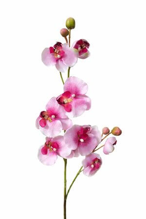 Fehér-rózsaszín mű orchidea 80cm