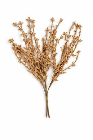 Zlatá halúzka 35cm