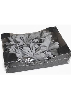 Zelené světlé sukulenty v krabičce 6 ks