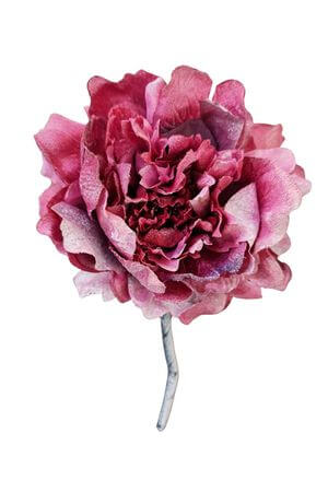 Cyklámenový zamatový kvet pivonky 16cm