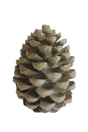 Nagy barna toboz 33 cm