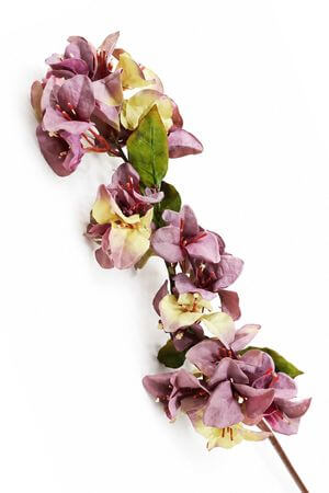 Starofialová umelá bugenvilea na stonke 62cm