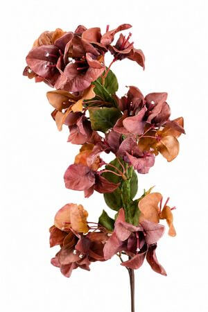 Világosbarna mű murvafürt, szárral 62cm