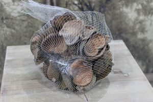 Barna szárított dióhéjak 0,5 kg