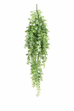 Zöldesfehér mű aeschynanthus 90cm 