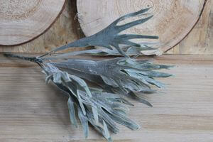 Zöld mű szarvasagancspáfrány 40cm