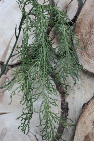 Zöld mű korallnövény 95cm