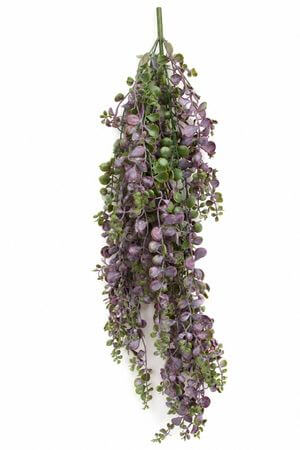 Zöldeslila mű aggófű (senecio) 80cm 