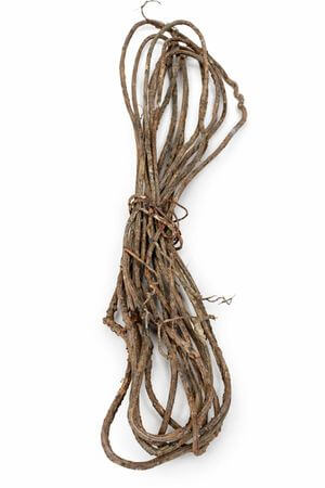 Prirodná hnedá liana