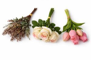 Podle druhů květin