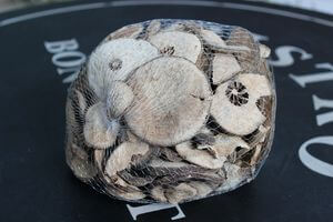 Hnedé sušené citrusové plody 0,5kg