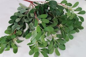 Zelená umelá pistácia 50cm