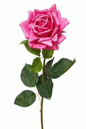 Cyklámenová umelá ruža rozkvitnutá 74cm