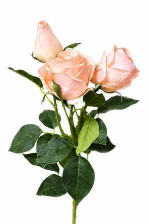 Marhuľová umelá trojkvetá ruža 73cm