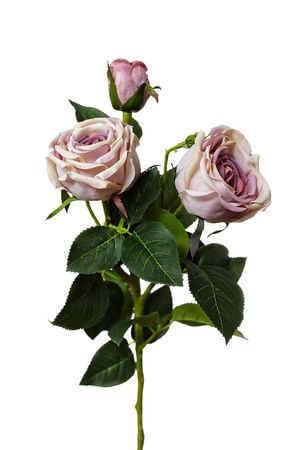 Fialová umelá trojkvetá ruža na stonke 73cm