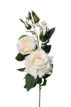 Barack színű műrózsák 85cm