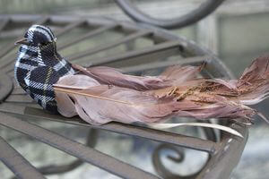 Barna madár csipeszen 20 cm