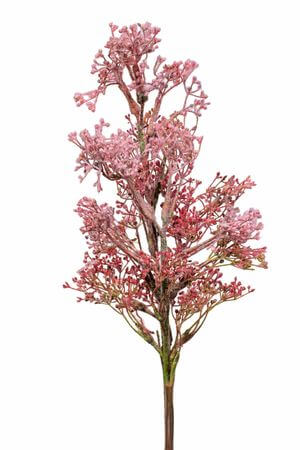 Růžová polní tráva 94cm